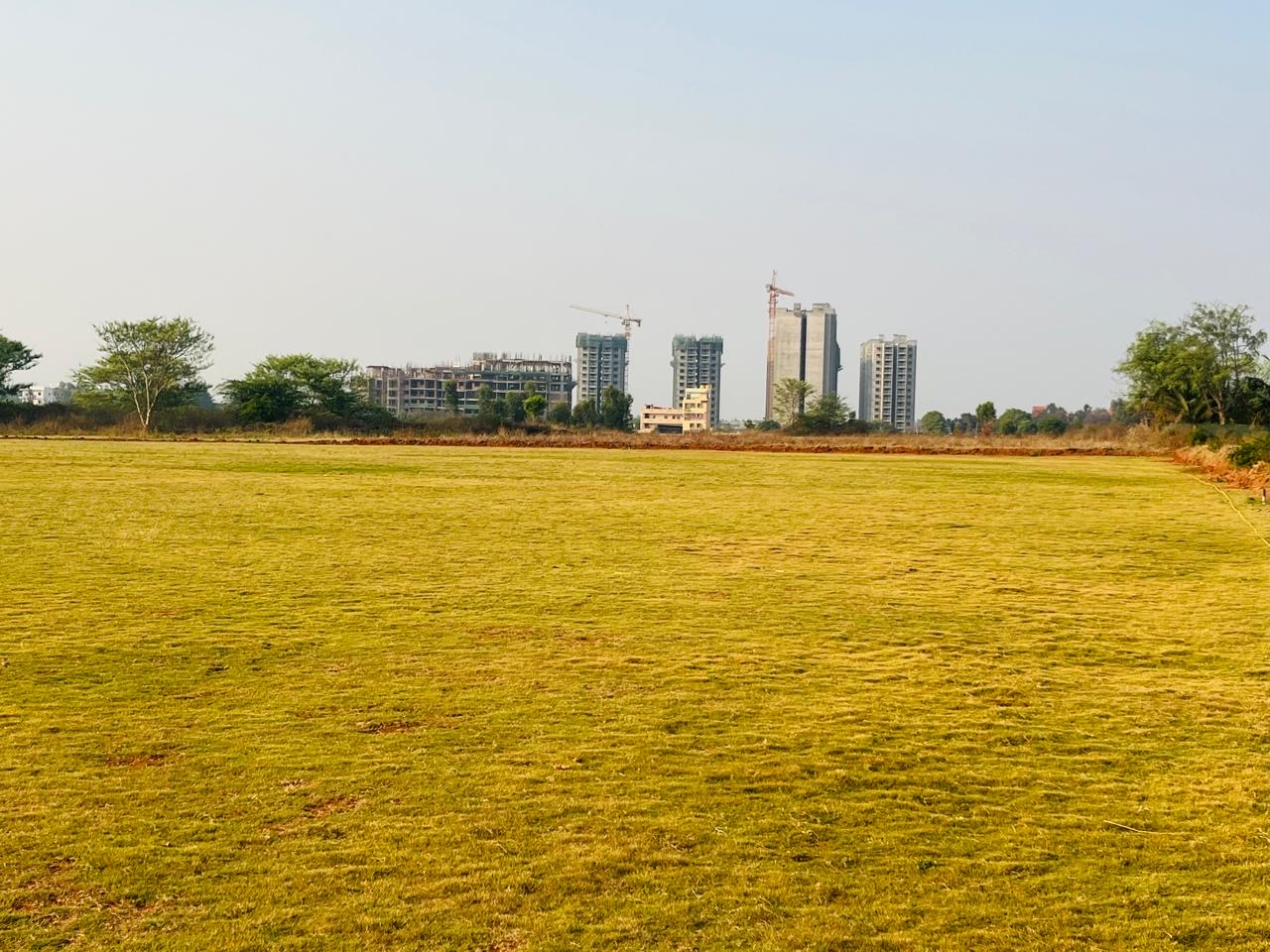 NCA Greenfield outfield